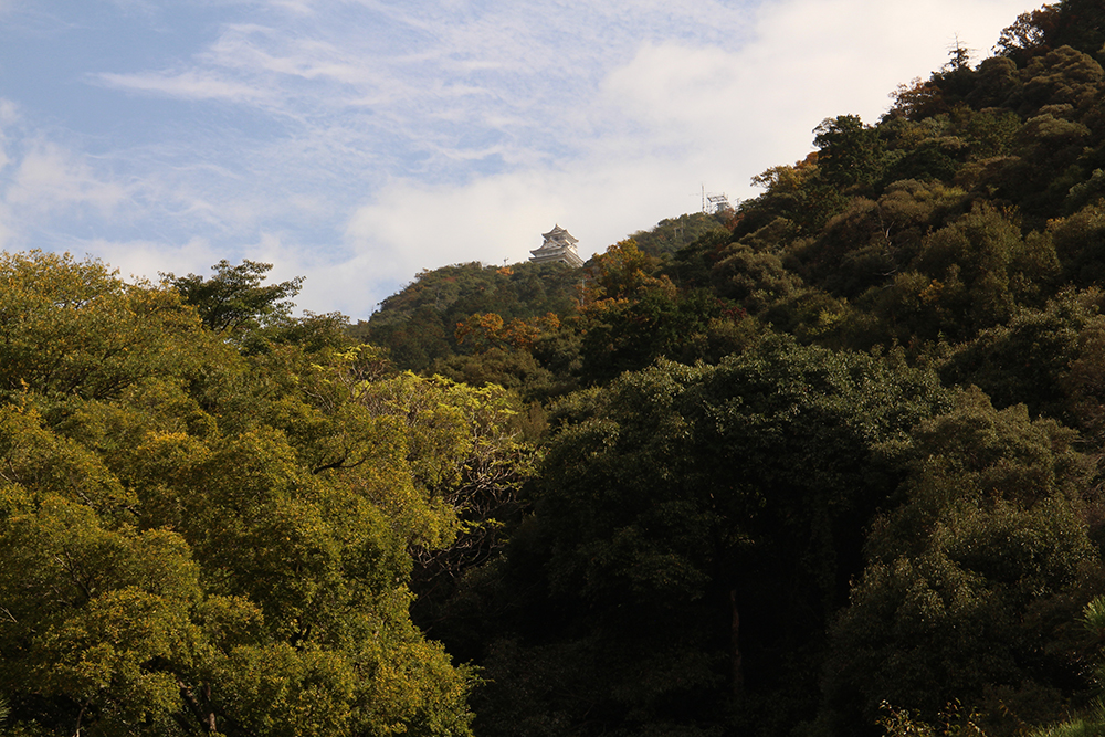 岐阜城を遠目から見た図