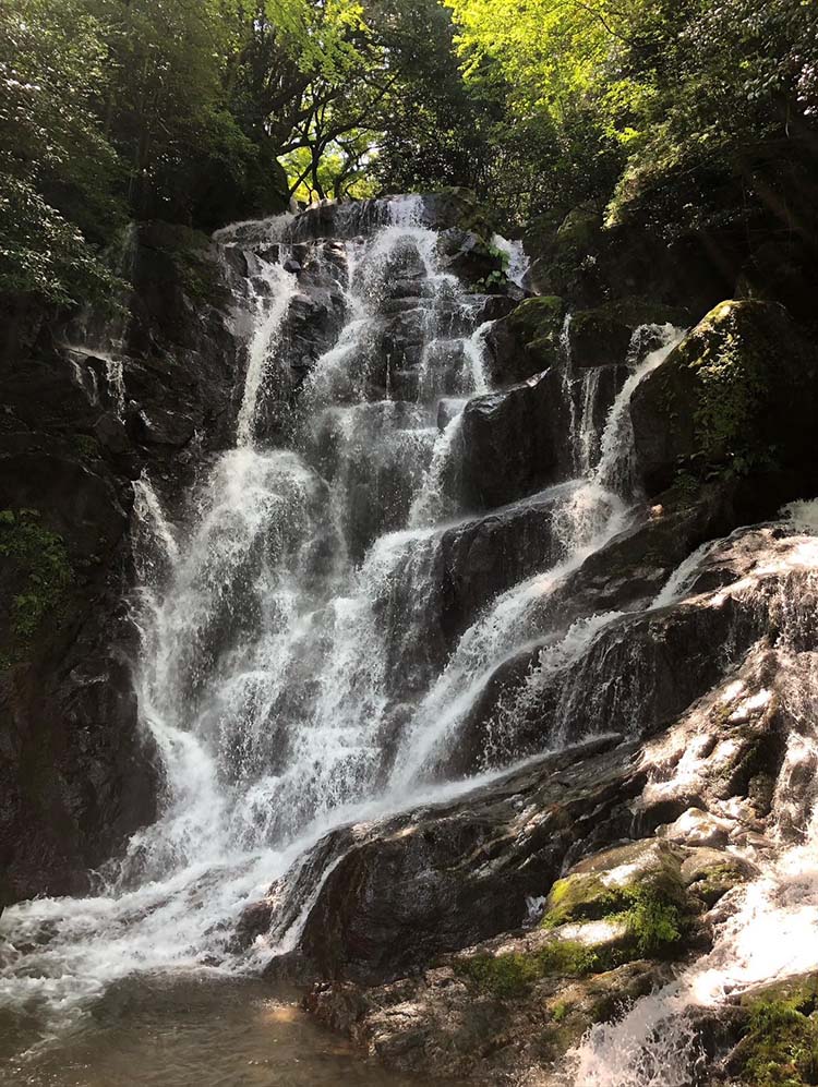 糸島の白糸の滝