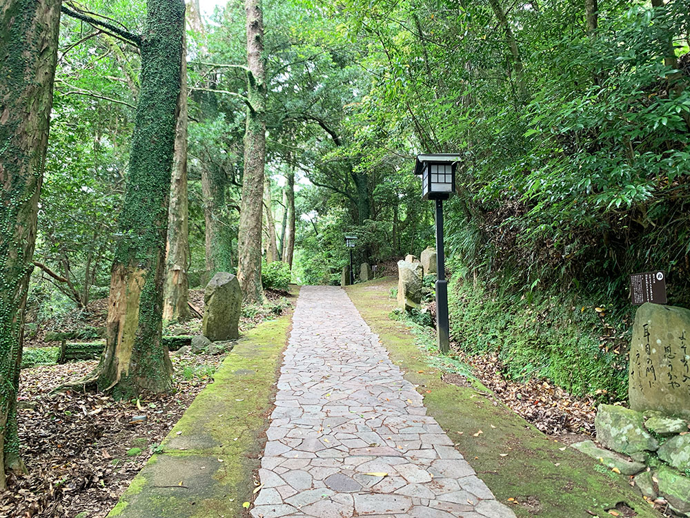 鹿児島県南さつま市の竹田神社の竹林