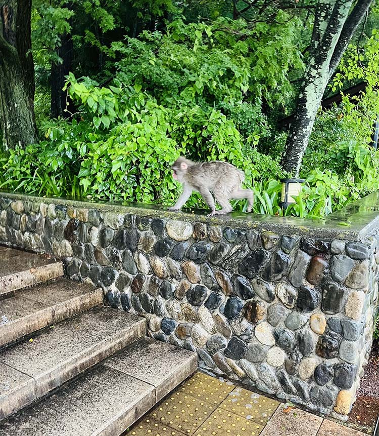 国営アルプスあづみの公園