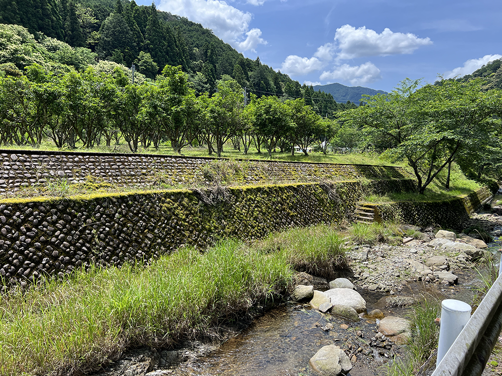 岡崎の自然豊かな穴場スポット