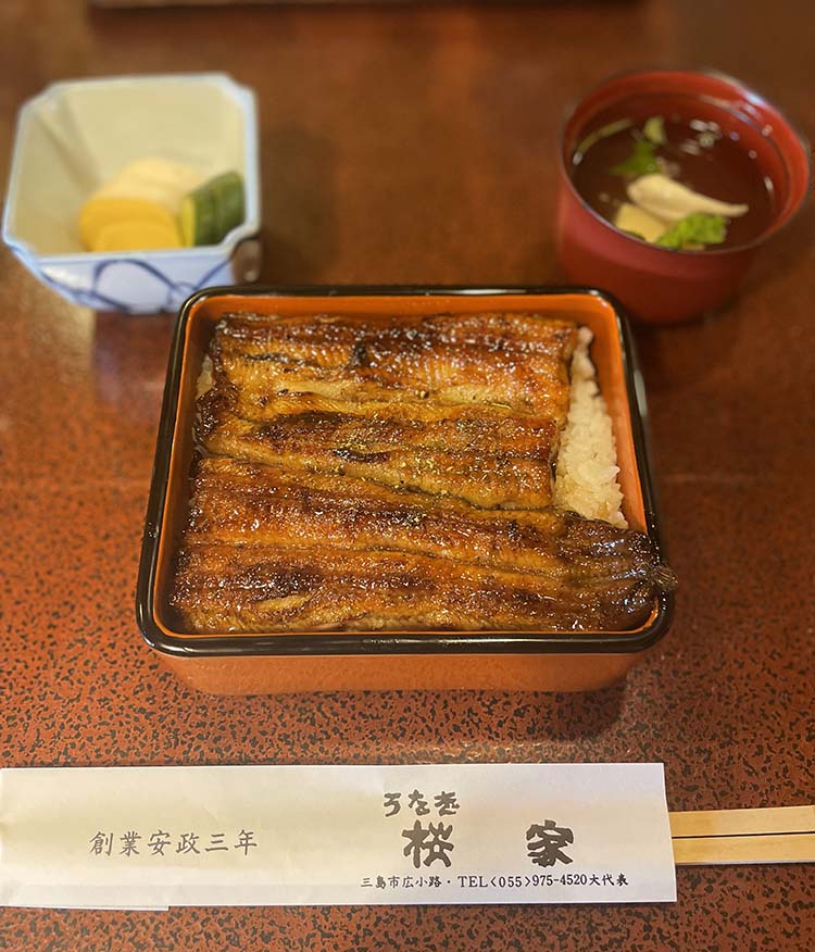 うなぎ桜家の鰻重