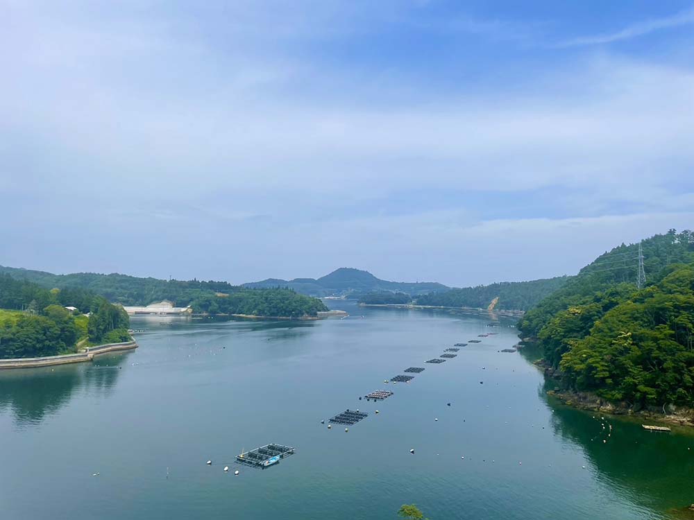 宮城県気仙沼の牡蠣の養殖場