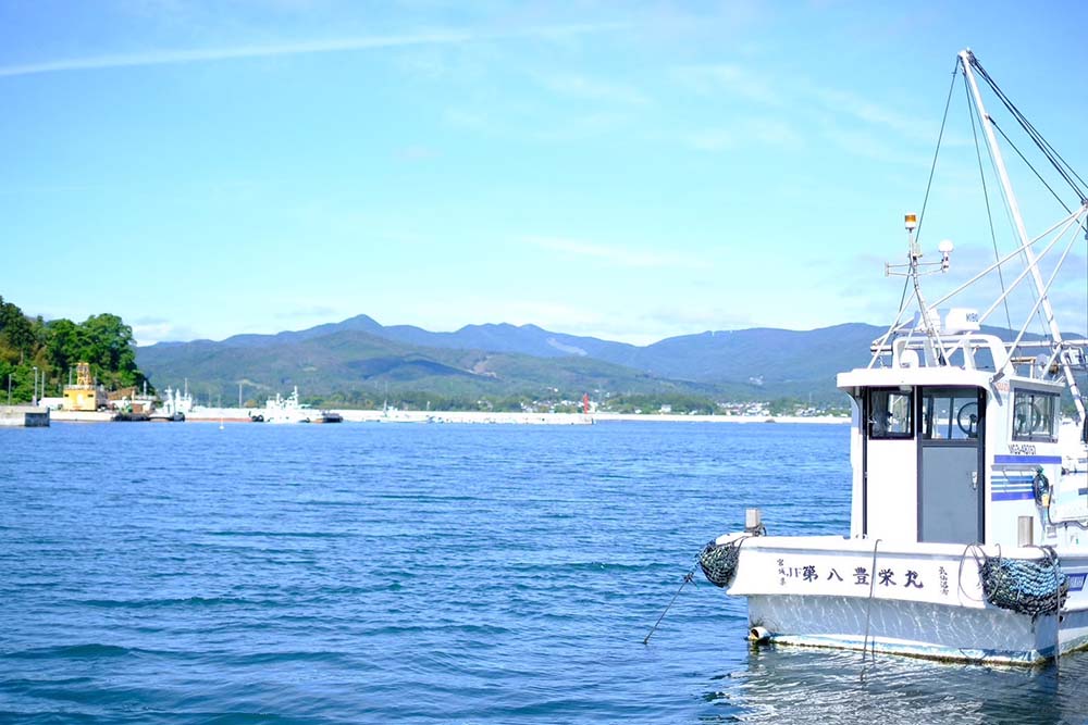 宮城県気仙沼の牡蠣の養殖場