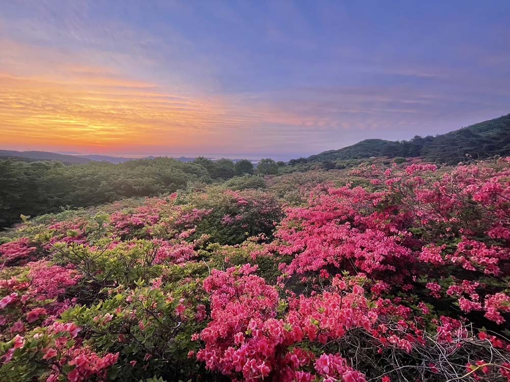 宮城県気仙沼の徳仙丈山