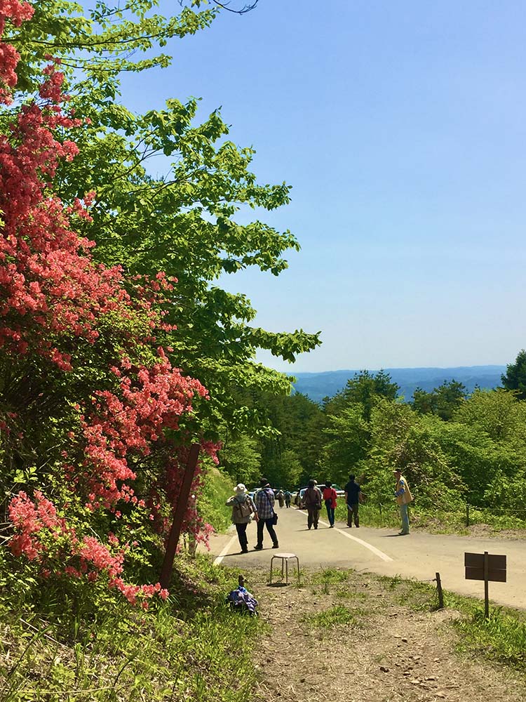 宮城県気仙沼の徳仙丈山