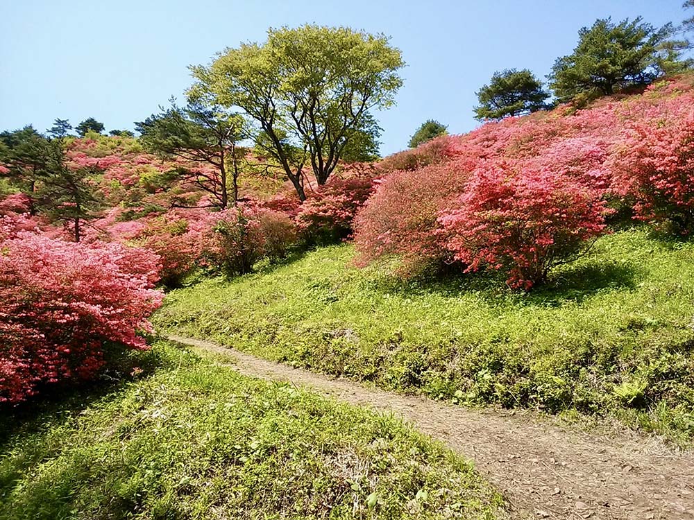 宮城県気仙沼の徳仙丈山