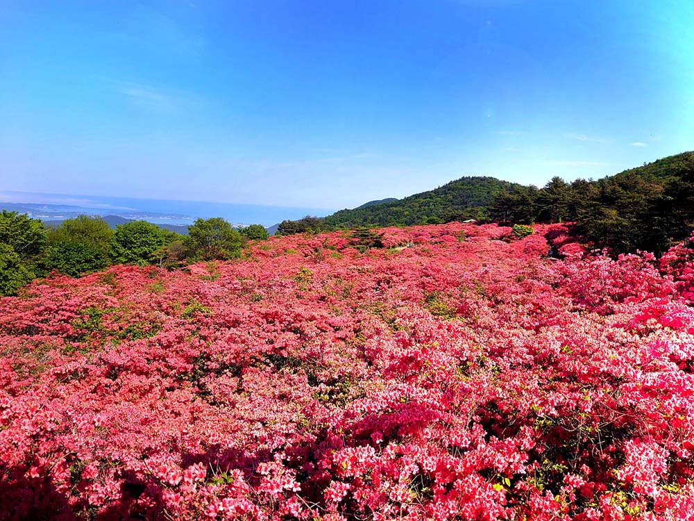 宮城県気仙沼の徳仙丈山