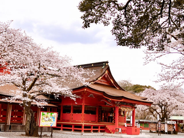 富士山本宮浅間大社